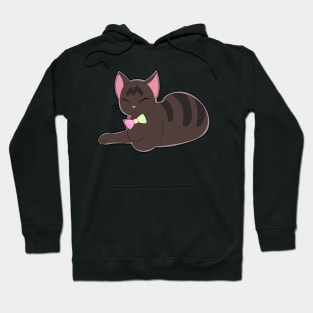 Chilling Like a Villain Cat Hoodie